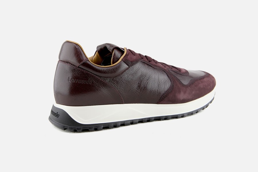 Men Barracuda | Barracuda - Brisbane Wine Sneakers On Labotte